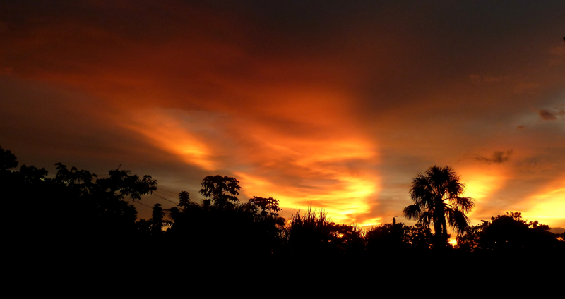 Amazonas11