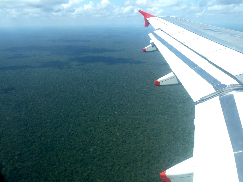 LaSelva