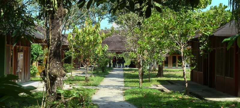 LaUniversidad1