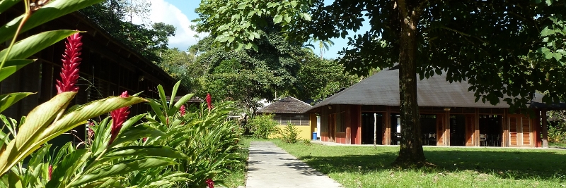 LaUniversidad1